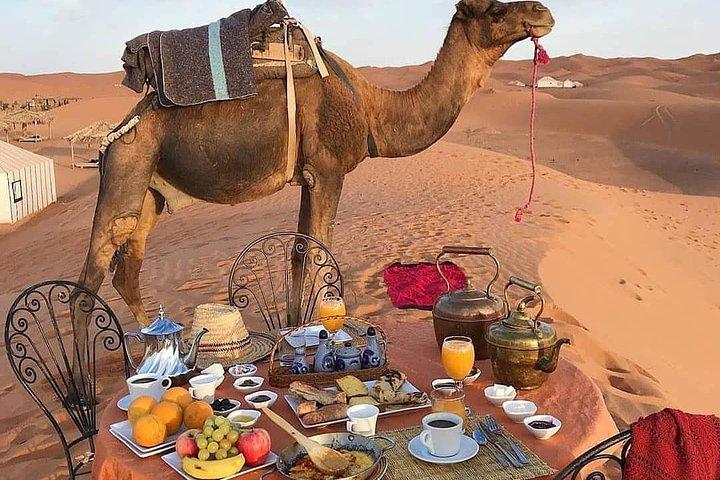 5 Days Trip Only Desert