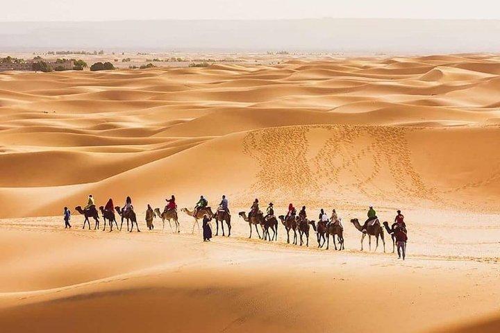 5 Days Trip Only Desert