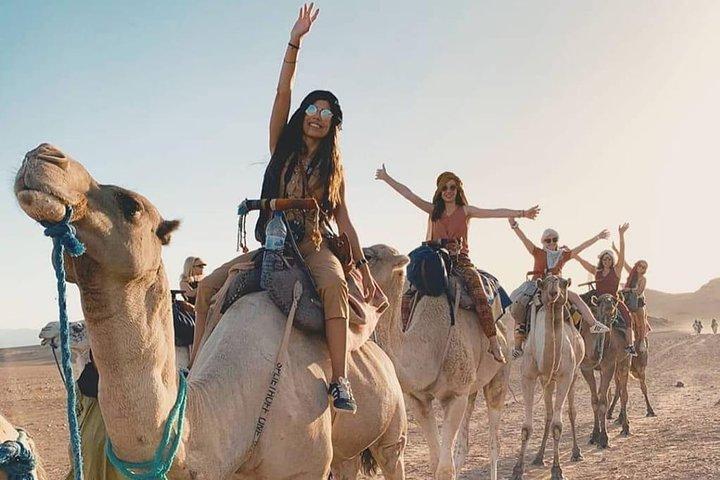 5 Days Trip Only Desert