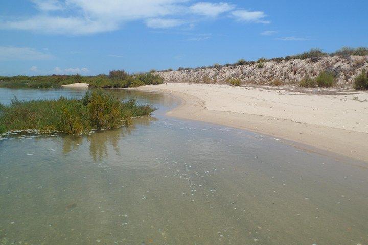 Faro Relax Tour på solbåd Ria Formosa