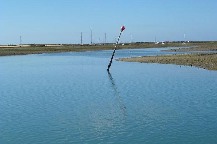 Faro Relax Tour på solbåd Ria Formosa