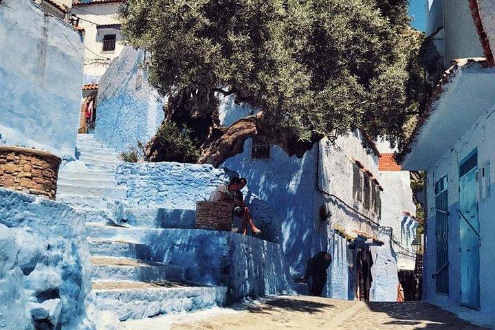 Fez to Chefchaouen Day Trip