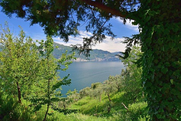 City Escape: excursion privée d'une journée au lac de Garde au départ de Vérone