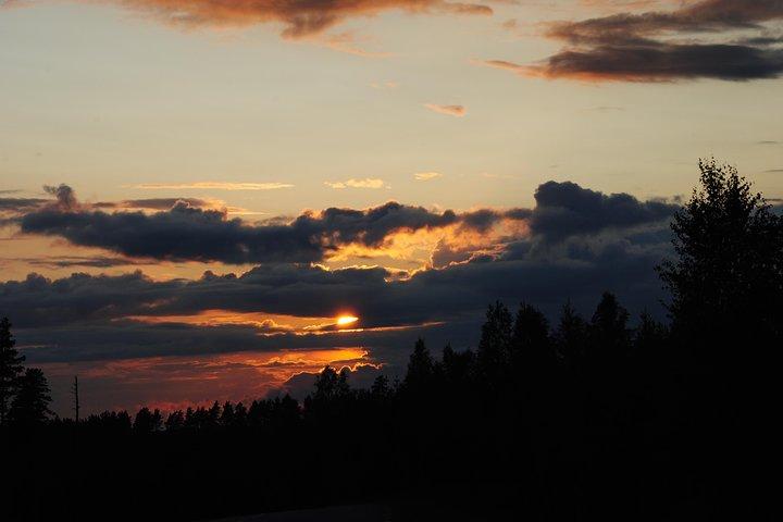 Elchsafari im wilden Schweden Tiveden
