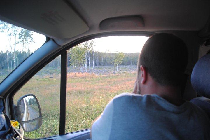 Elchsafari im wilden Schweden Tiveden