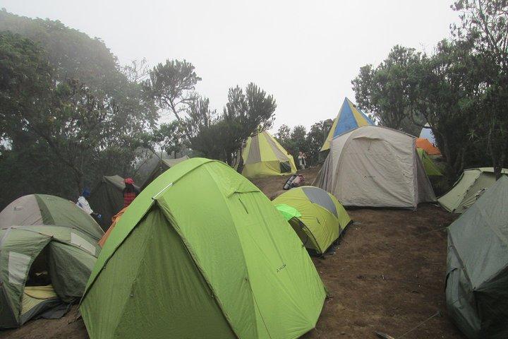 1-daagse Kilimanjaro-wandeling Machame-route