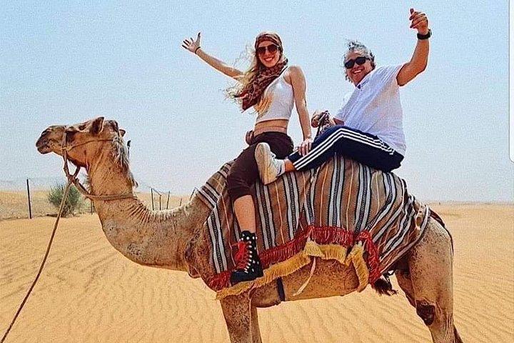 Privata 4 turer Dubai & Abu Dhabi: Safari, stadsrundtur, kryssning