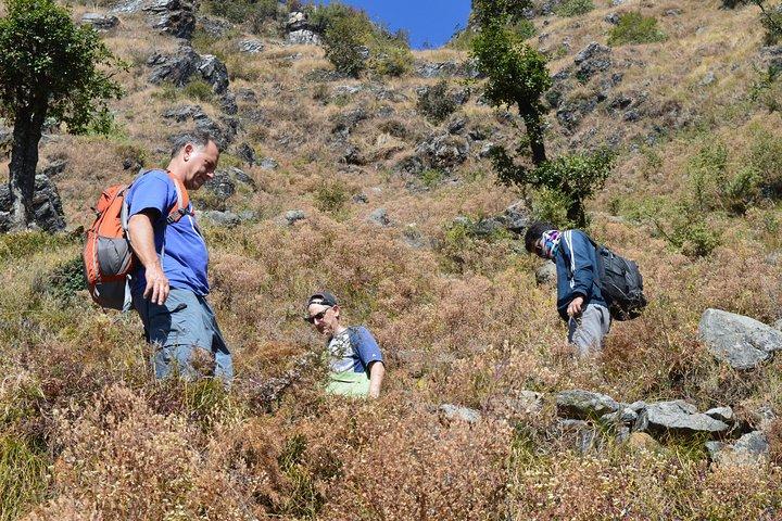 Top Tibba Day Hike og Dhanaulti-besøg