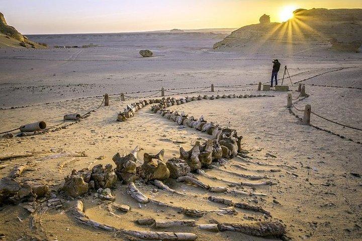 Excursion d'une journée à l'oasis de Fayoum depuis le Caire