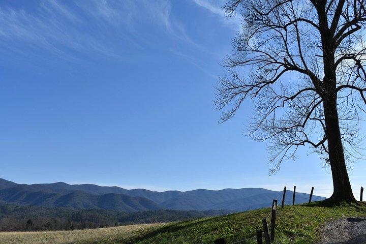 Tour in autobus turistico di Cades Cove da Pigeon Forge