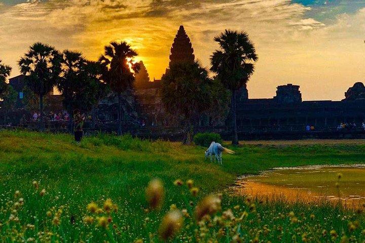 Siem Reap en Phnom Penh 7 - Dagtour