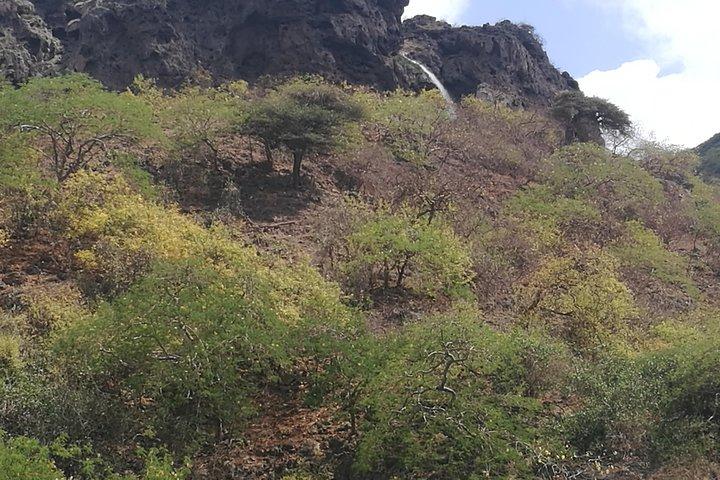 東サラーの隠れた名所を探訪する1日ツアー