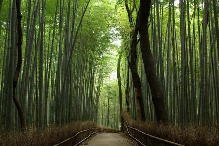 Descubra o seu Kyoto -Excursão a pé personalizada em Kyoto-