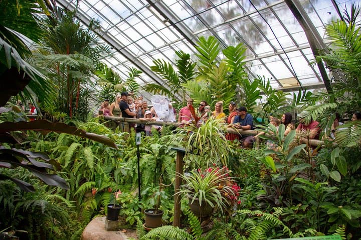 Australian Butterfly Sanctuary