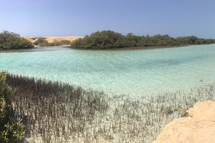 Viagem privada de 1 dia a Ras Mohamed de carro de Sharm-el-Sheikh