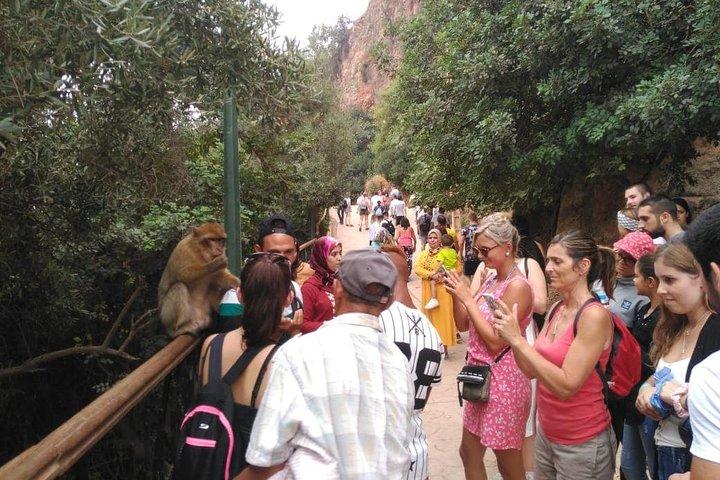 Full-Day Trip to Ouzoud Waterfalls From Marrakech & a boat ride