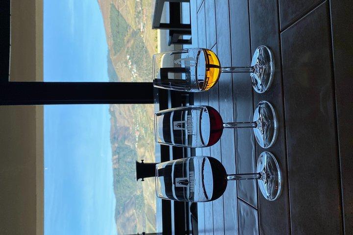 Vale do Douro e Porto de Lisboa - Prova de vinhos e queijos