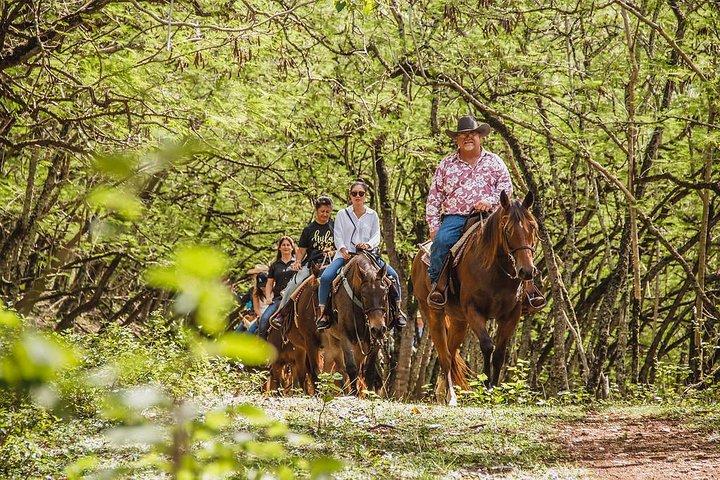 Paseo a caballo escénico de 1 hora