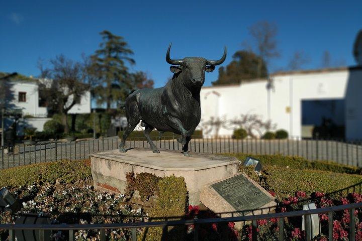 Visite guidée de Ronda