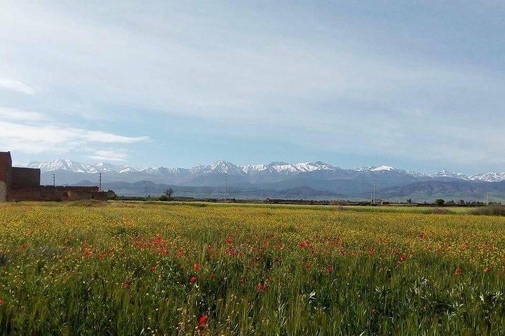 オウリカ渓谷への日帰り旅行«「フルイマージョン」»