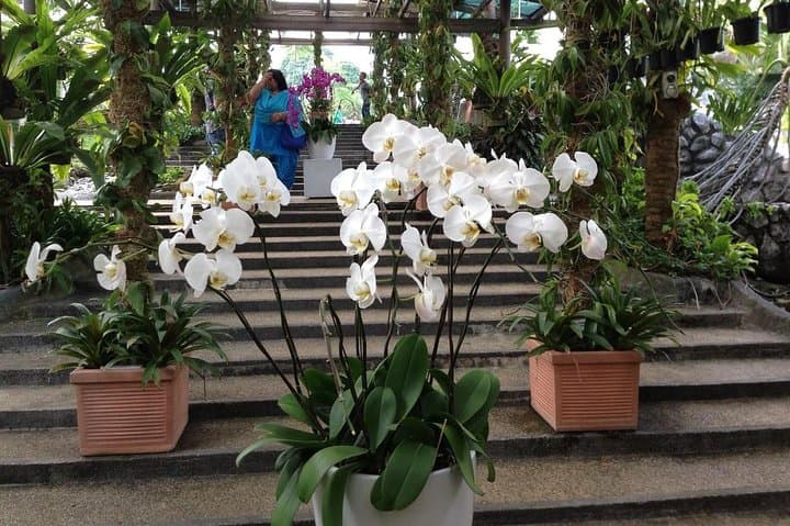 Bird Park & Butterfly Farm Nature Include All Entrance Tour From Kuala Lumpur
