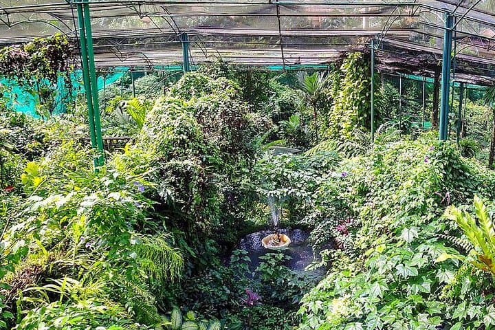 Kuala Lumpur Bird Park, Butterfly Farm And Taman Orkid Include All Entrance