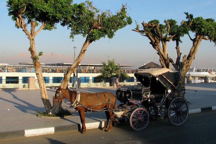 Luxor City Tour By Horse Carriage