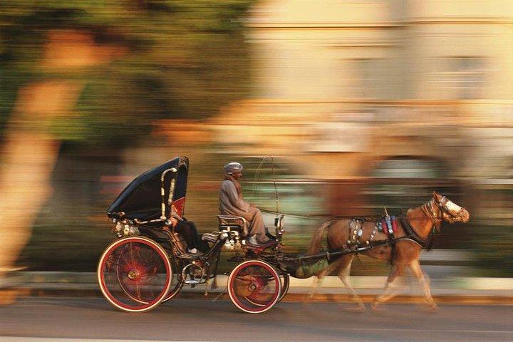 Luxor City Tour By Horse Carriage