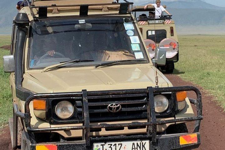 Safari de campamento de 4 días que incluye Serengeti y Ngorongoro