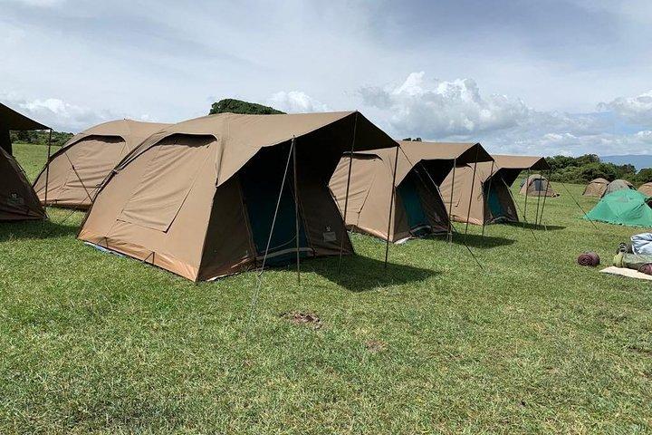 Safari de campamento de 4 días que incluye Serengeti y Ngorongoro