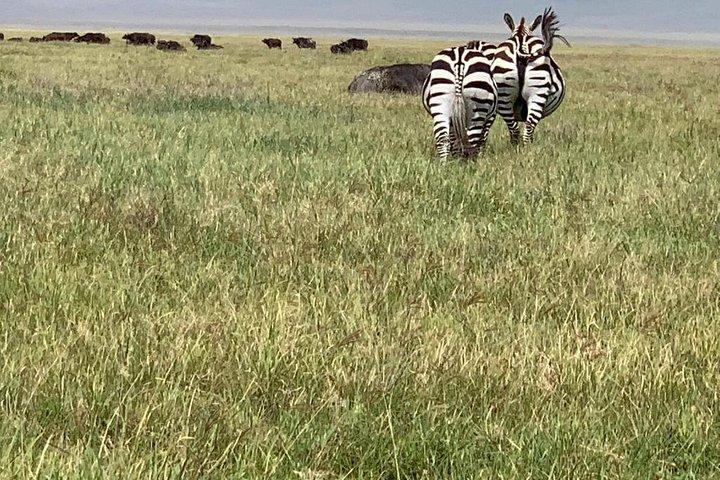 Safari de campamento de 4 días que incluye Serengeti y Ngorongoro