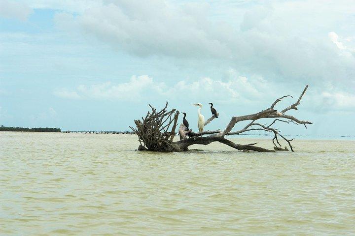 Holbox Plus Tour Boat (Yalahao & Passion Island) From Cancun