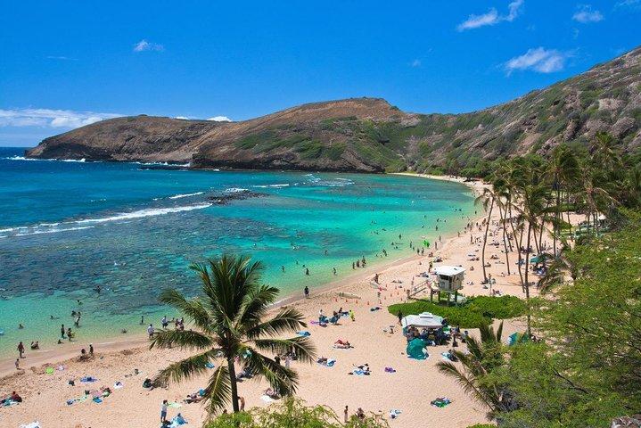 Heldagssightseeingtur på Oahu Island