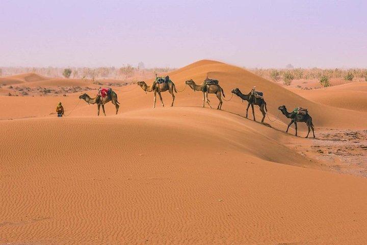 5-Day Morocco Desert Tour: Casablanca, Marrakech, Fes & Merzouga