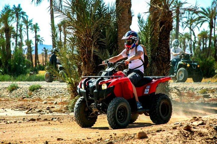 Quad Biking In Marrakech Palm Grove