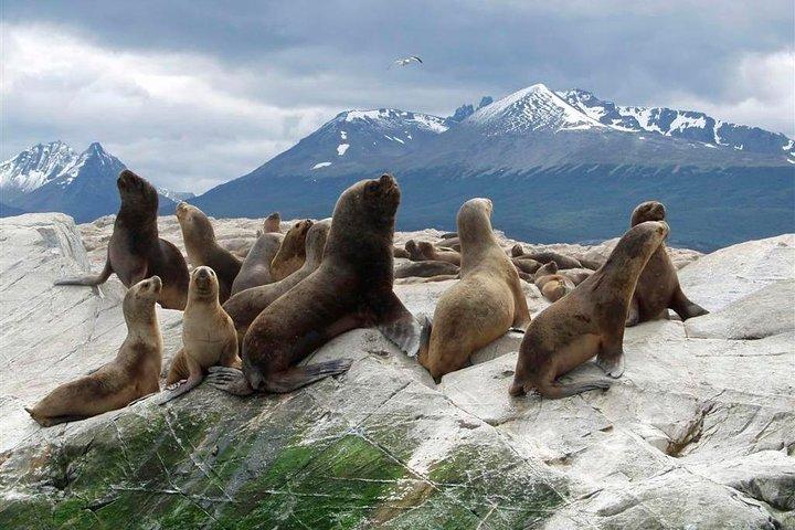 Navigation Beagle Channel Isla de Lobos