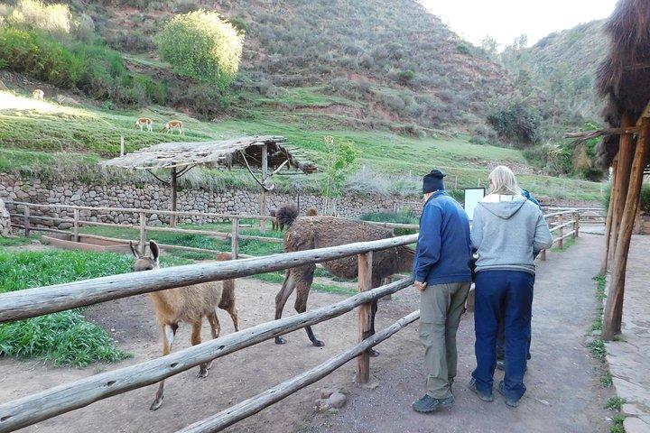 Tour durch das Heilige Tal von Urubamba oder Ollantaytambo