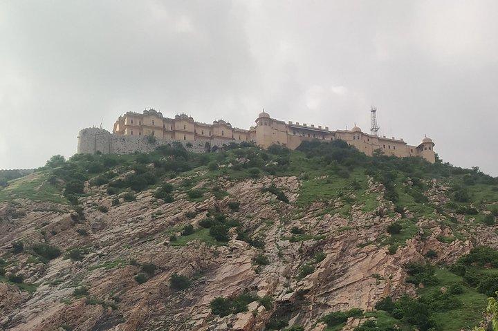 Privat heldags Pink City Tour i Jaipur