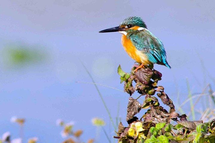 Das Beste von Nepal Luxus-Abenteuer-Tour-Paket - 9 Tage