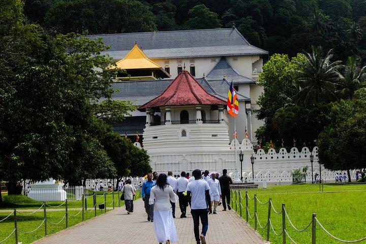 Kandy-Tagestour von Colombo oder Negombo mit dem Privatwagen oder Van mit Fahrer