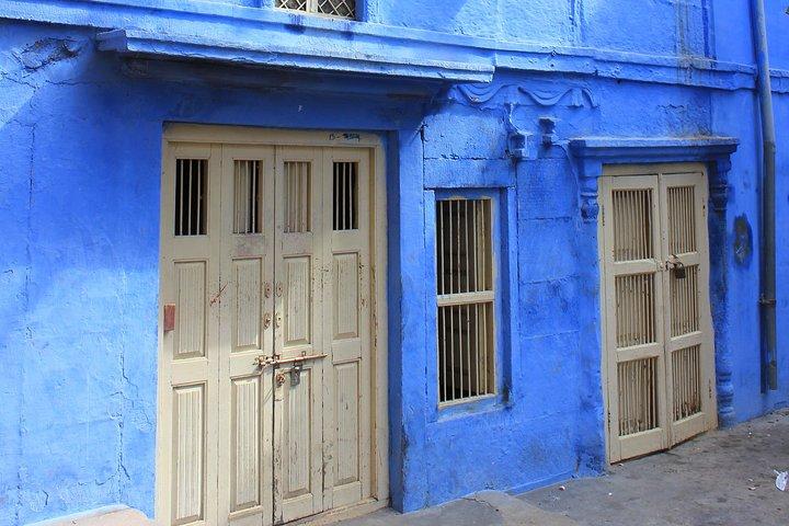 Visite à pied de la ville bleue