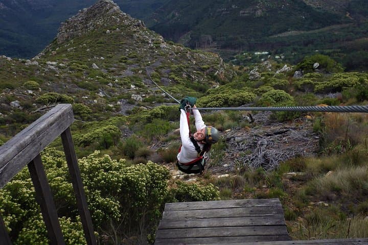 Zipline Cape Town - From Foot of Table Mountain Reserve