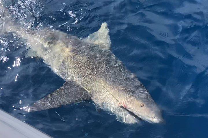 Marathon Reef Fishing Charters