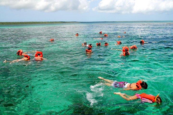 Catalina Island & Snorkeling Tour
