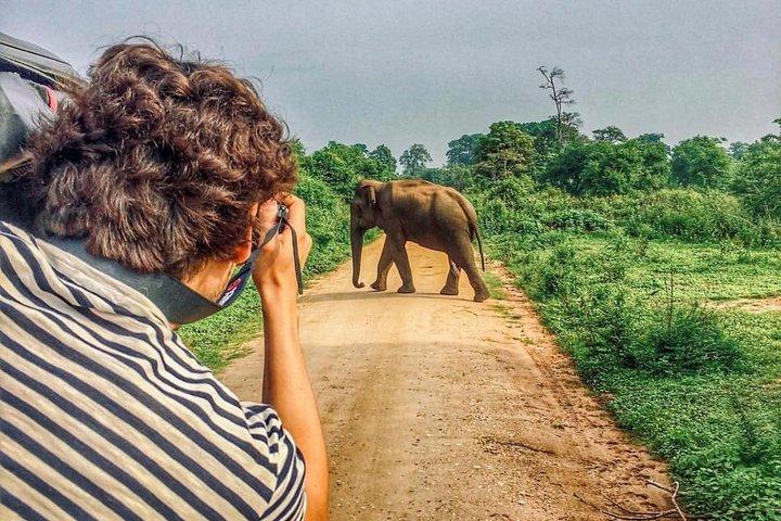Visite privée Sri Lanka avec chauffeur | 8 jours tout compris