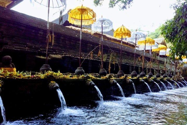 Bali Swing Ubud Private Day Tour