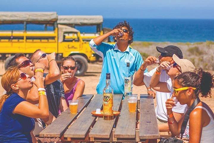 Wüsten- und Meereskamelsafari in Los Cabos mit Mittagessen