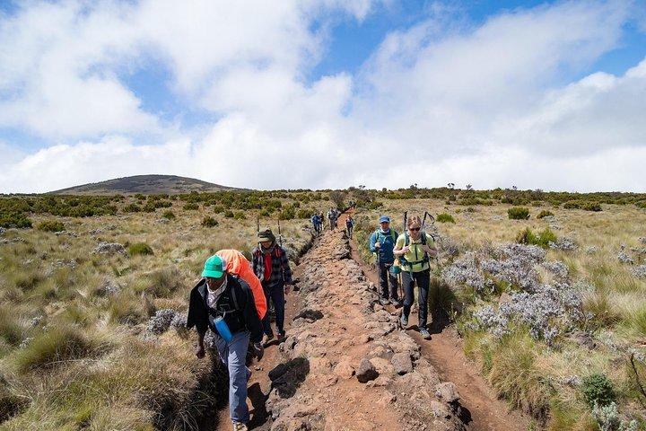 Kilimanjaro: Marangu Route og Camping Safari