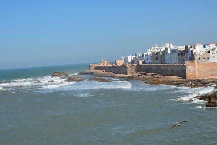 Essaouira day trip from Agadir and taghazout with hotel pickup