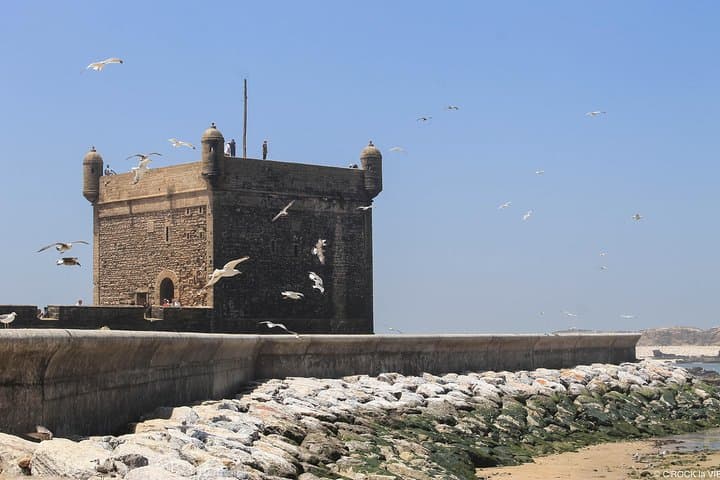 Essaouira day trip from Agadir and taghazout with hotel pickup